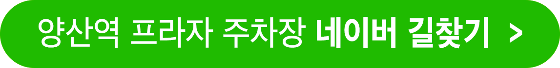 주차장 네이버 길찾기 >